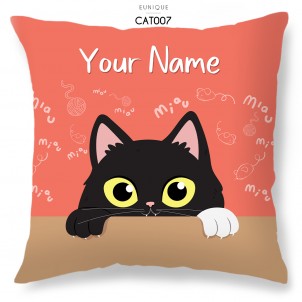 Pillow Cat CAT007